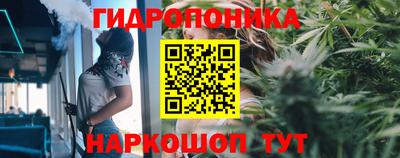 сатива Бугуруслан