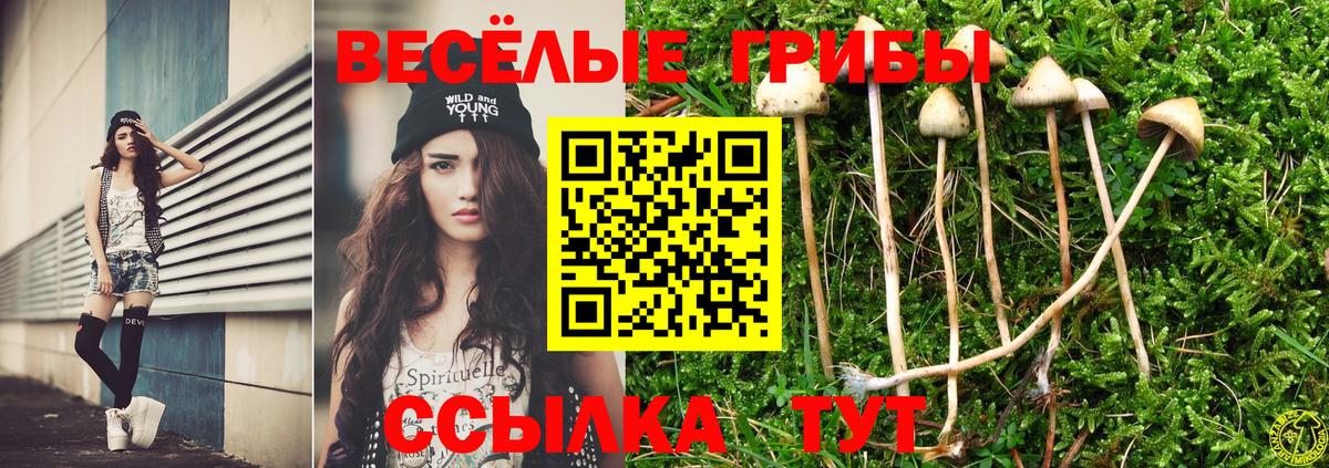 Псилоцибиновые грибы ЛСД  Вход с VPN  Рубцовск  Галлюциногенные грибы Magic Shrooms 