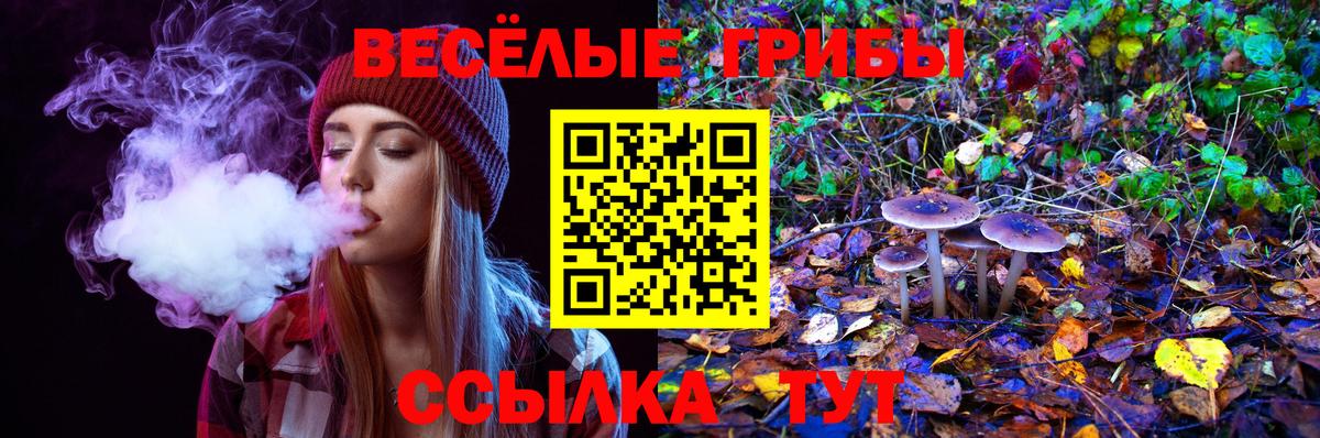 Псилоцибиновые грибы MAGIC MUSHROOMS Рубцовск